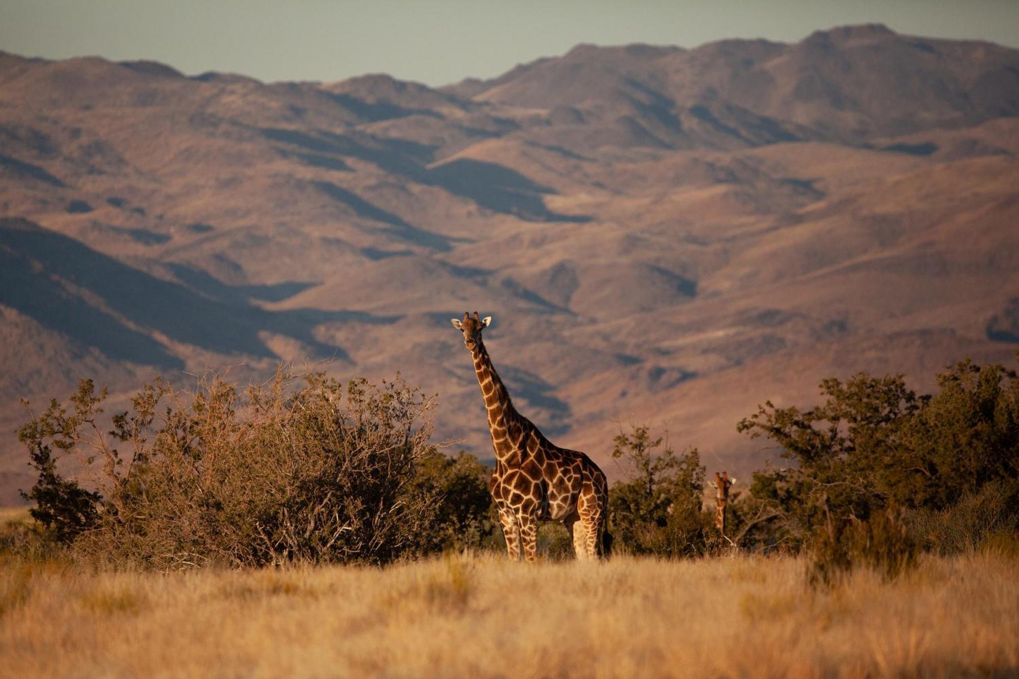 Sandfontein Lodge&Nature Reserve Exterior foto