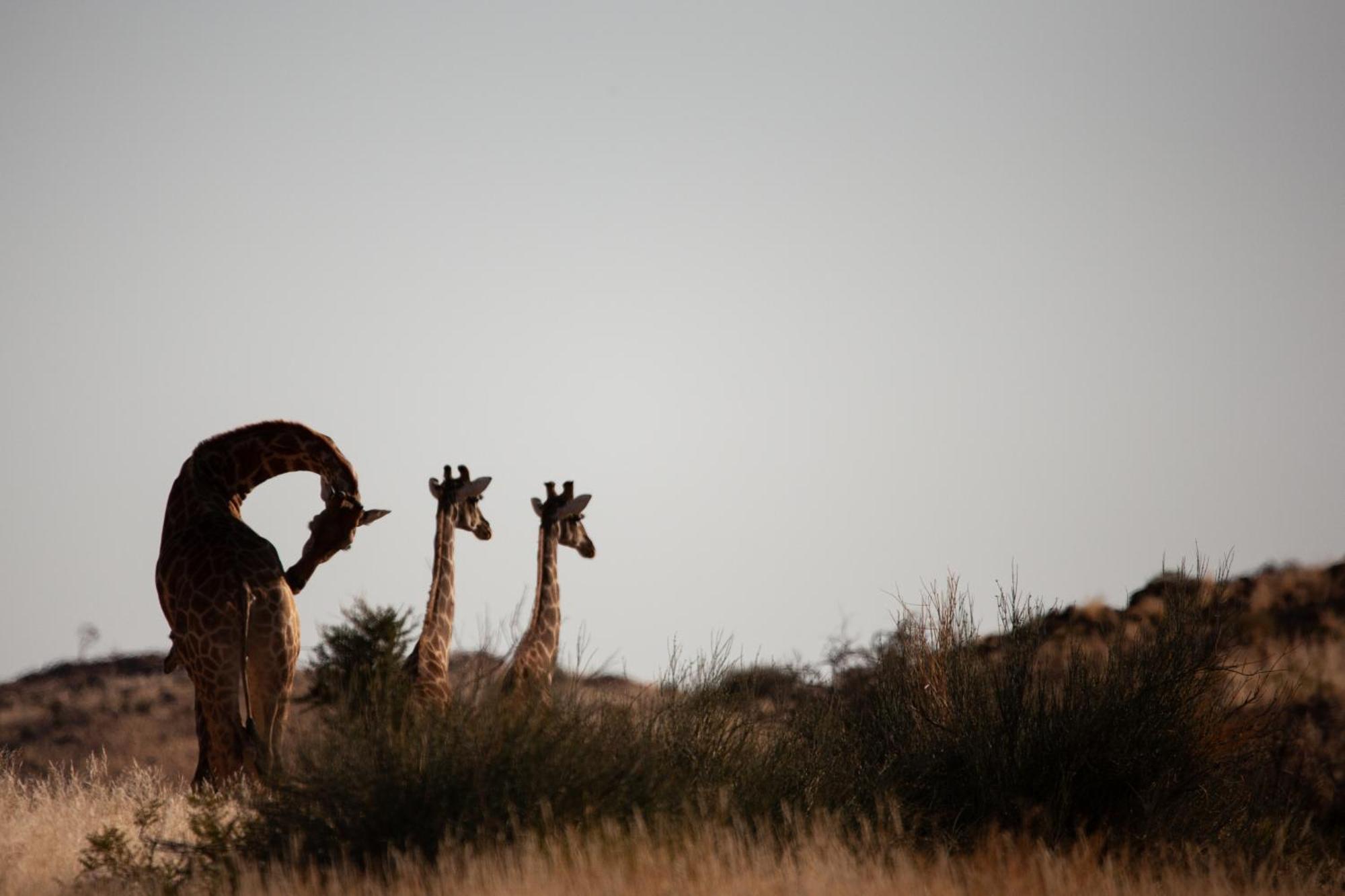 Sandfontein Lodge&Nature Reserve Exterior foto